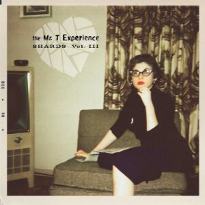 The Mr. T Experience ‎- Shards Vol. 3