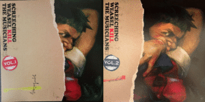 Screeching Weasel - Kill The Musicians Vol. 1 & 2